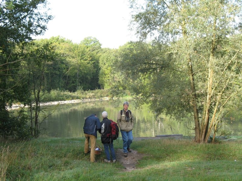 2006 10 Myco Etang d'Or 02